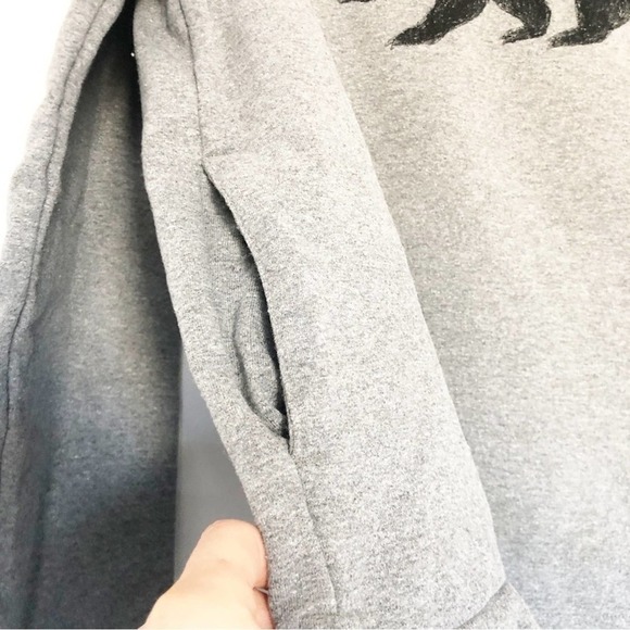 Patagonia Fitz Roy Bear Uprisal Gray Regular Fit Hoodie Size Medium - Picture 4 of 8